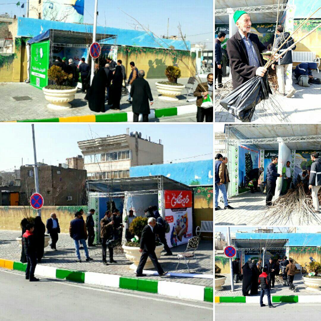 مشارکت همگانی برای احیای محیط زیست شهری در هفته درختکاری مشارکت همگانی برای احیای محیط زیست شهری در هفته درختکاری