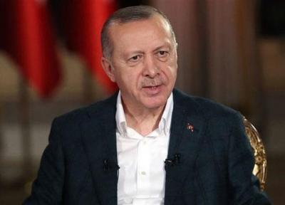 اردوغان: آمریکا و اروپا در امور داخلی کشور ما دخالت می نمایند