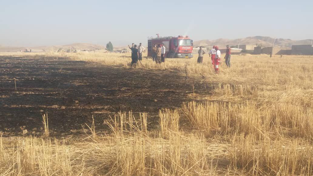 خبرنگاران 5 هکتار از گندمزارها و تپه های پلدختر در آتش سوخت خبرنگاران 5 هکتار از گندمزارها و تپه های پلدختر در آتش سوخت