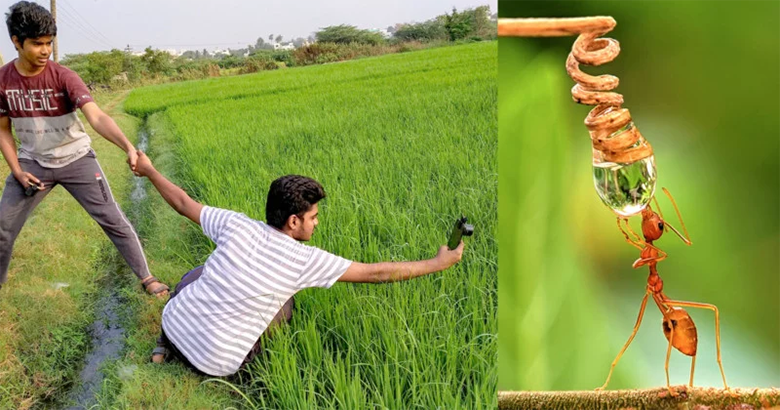 عکس های ماکروی این جوان هندی از حشرات با گوشی های وان پلاس و ردمی همه را متحیر کرده است
