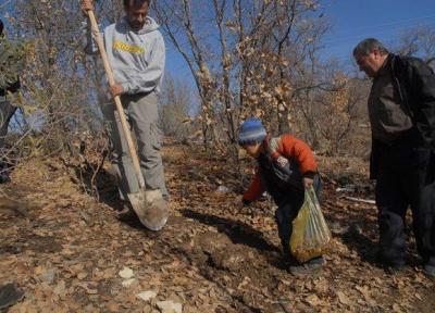 کاشت 15هزار بذر بلوط در جنگلهای بویراحمد