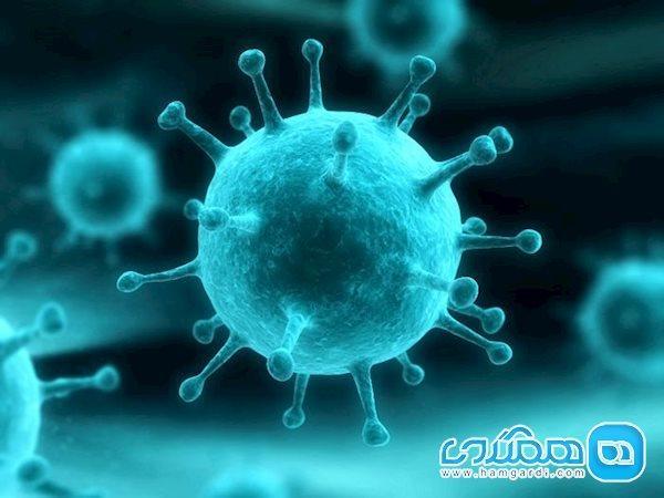 آیا ویروس کرونا به وسیله وسایل گرمایشی از بین می رود؟