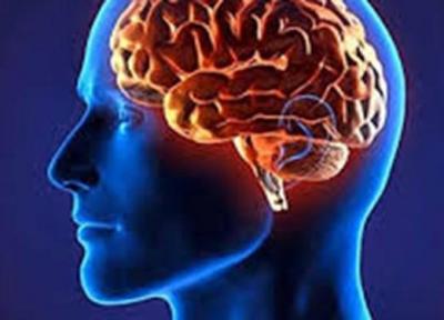 جوانسازی سیستم ایمنی قدم اصلی در ترمیم مغز