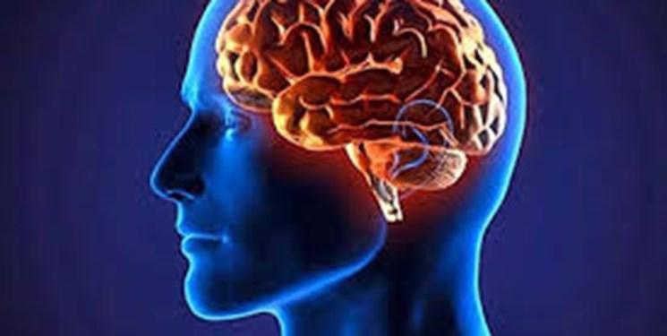 جوانسازی سیستم ایمنی قدم اصلی در ترمیم مغز