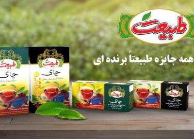 جشنواره عظیم چای طبیعت شروع شد