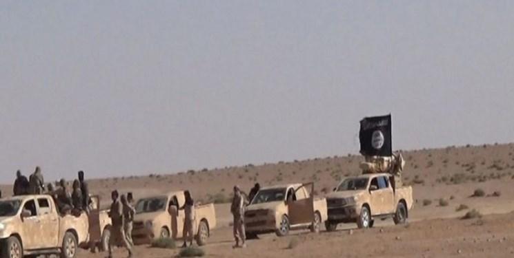 ادعای منابع اطلاعاتی غرب: داعش در حال تجدید قوا است
