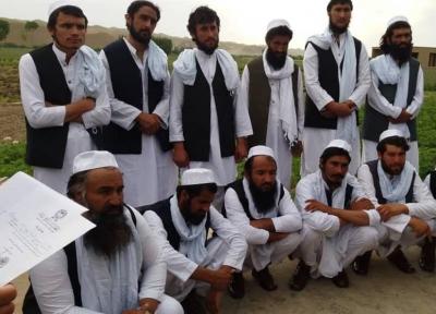دفتر سیاسی طالبان: 76 نیروی امنیتی افغانستان آزاد شدند