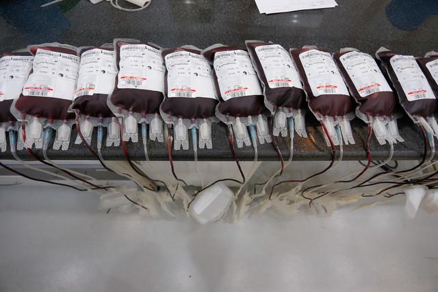 اهدای 52 میلیون واحد خون طی 46 سال، قدم سازمان انتقال خون برای پلاسمادرمانی کرونایی ها