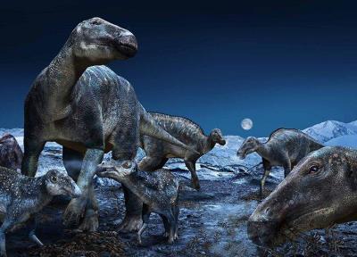 ساختار یکتای استخوان دایناسورها وزن سنگین آن ها را تحمل می نموده است