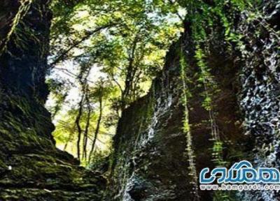 جنگل سرپوش تنگه چالوس؛ طبیعتی بکر در شمال ایران