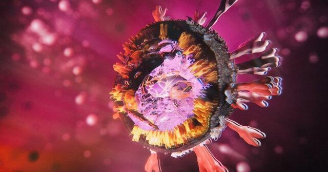 آیا ویروس کرونا خطرناک تر شده است؟