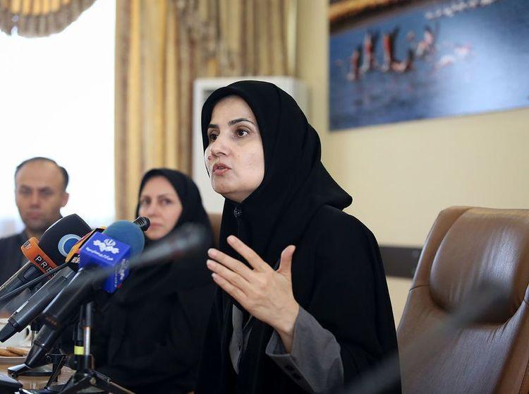 توضیحات جنیدی درباره پرداخت خسارات هواپیمای اوکراینی
