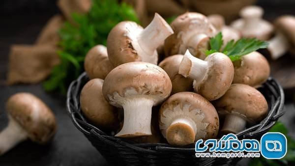 آیا قارچ منبع پروتئین است؟ آیا قارچ منبع پروتئین است؟