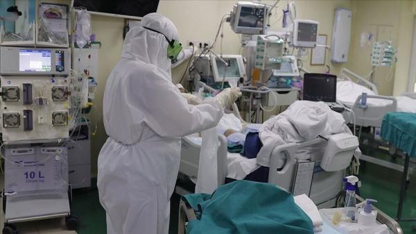 خبرنگاران رئیس علوم پزشکی: 105 بیمار کرونایی در قم بستری هستند