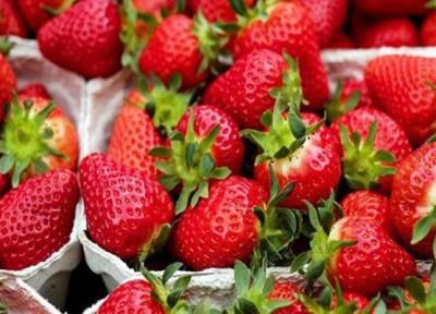 خوردن توت فرنگی برای این افراد ممنوع