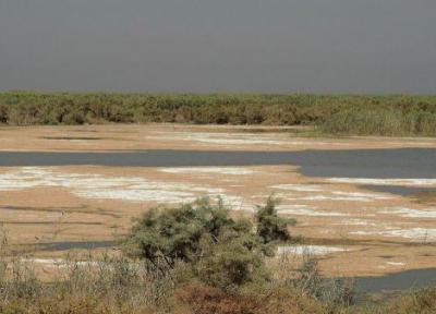 خشک شدن 4 درصد هورالعظیم در 5 روز گذشته