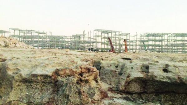 ساخت و ساز یک شرکت خصوصی در محیط زیست بکر بوشهر اعتراض آفرین شد ، محیط زیست بوشهر؛ قربانی بی تدبیری یا منفعت طلبی؟