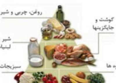 غذاهایی که هوش را زیاد می نمایند