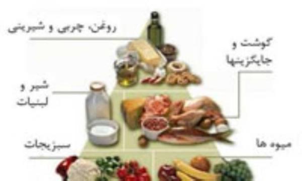 غذاهایی که هوش را زیاد می نمایند