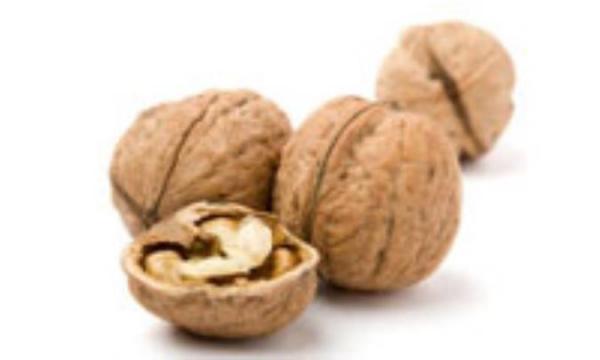 اگر ماهی نمی خورید لااقل گردو بخورید اگر ماهی نمی خورید لااقل گردو بخورید