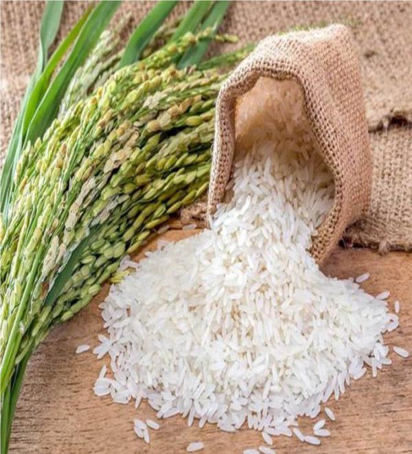 آیا آرسنیک موجود در برنج نگران کننده است؟