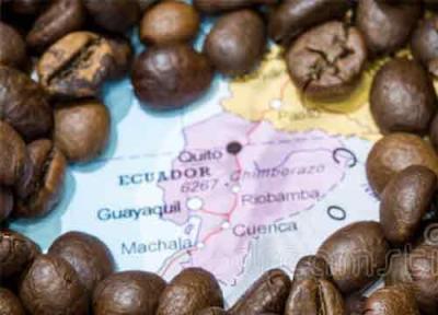 همه چیز در خصوص صنعت قهوه اکوادور