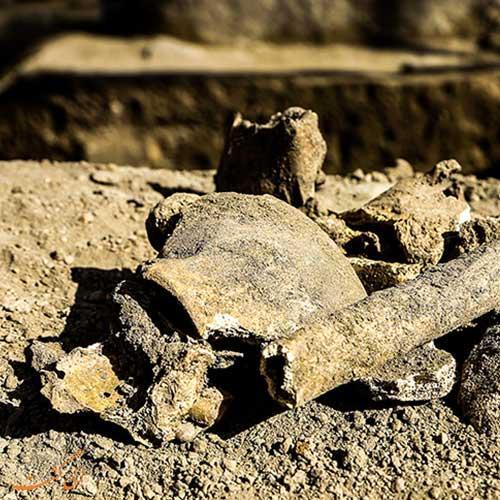 محل کشف استخوان های 2800 ساله در همدان تبدیل به انبار شهرداری شد!
