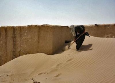واکنش محیط زیست به ویدئوی مدفون شدن گوسفندان در شن های روان