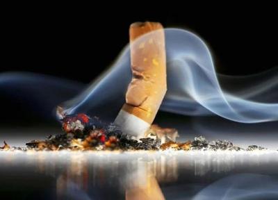 دستاورد تازه دانشمندان: تبدیل ته سیگار به سوخت بیودیزل